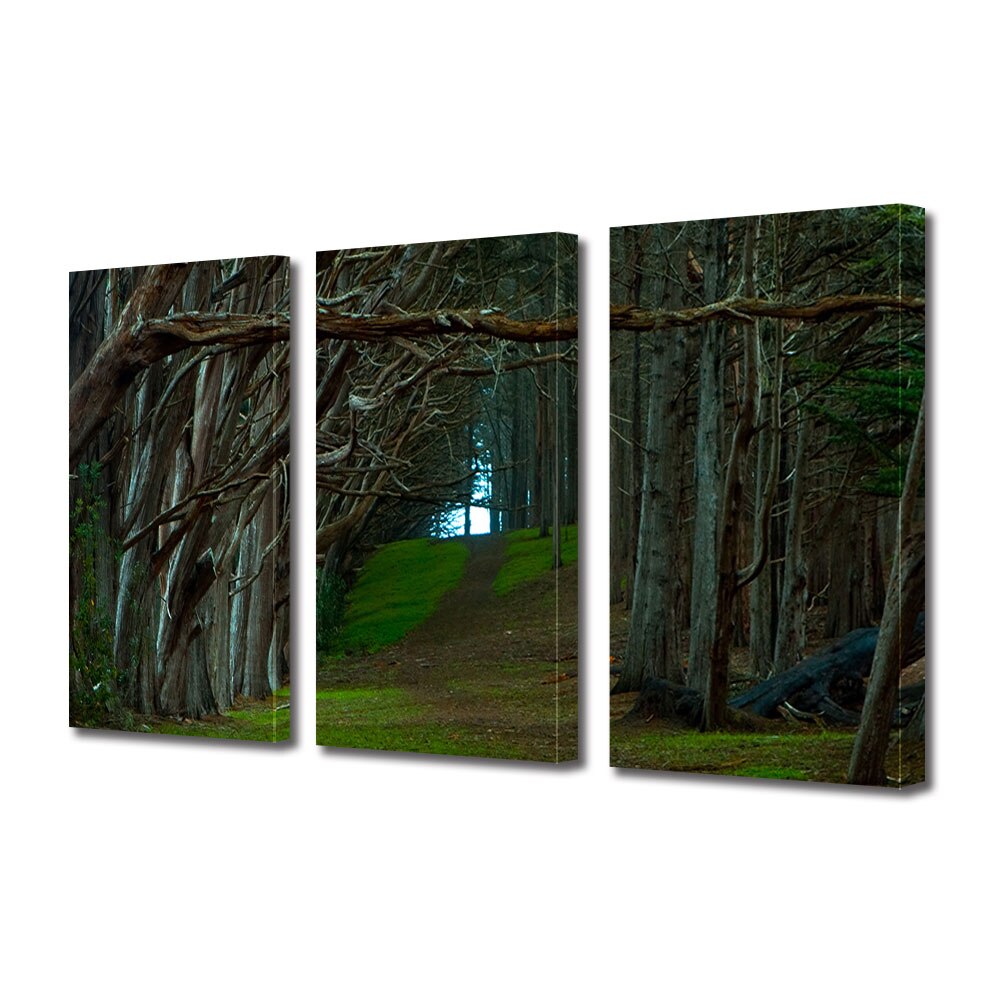 Set Tablouri Multicanvas 3 piese ArtDeco, Umbra padurii, Panza pe cadru de lemn, Decoratiuni Moderne pentru Casa, 3 x 20 x 30 cm