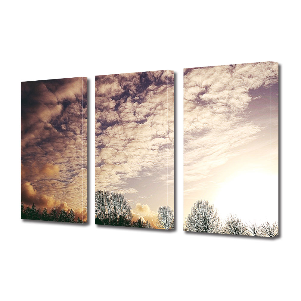 Set Tablouri Multicanvas 3 piese ArtDeco, Nori imprastiati, Panza pe cadru de lemn, Decoratiuni Moderne pentru Casa, 3 x 20 x 30 cm