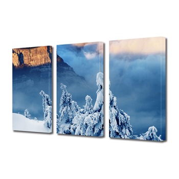 Set Tablouri Multicanvas 3 piese ArtDeco, Brazi acoperiti la altitudine, Panza pe cadru de lemn, Decoratiuni Moderne pentru Casa, 3 x 20 x 30 cm Set Tablouri Multicanvas 3 piese ArtDeco, Brazi acoperiti la altitudine, Panza pe cadru de lemn, Decoratiuni Moderne pentru Casa, 3 x 20 x 30 cm