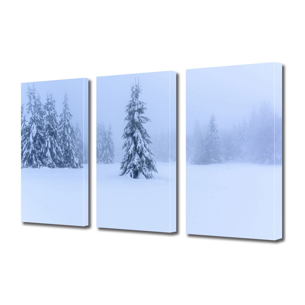 Set Tablouri Multicanvas 3 piese ArtDeco, Iarna blurata, Panza pe cadru de lemn, Decoratiuni Moderne pentru Casa, 3 x 20 x 30 cm