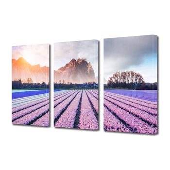 Set Tablouri Multicanvas 3 piese ArtDeco, Campie cu flori roz la apus, Panza pe cadru de lemn, Decoratiuni Moderne pentru Casa, 3 x 20 x 30 cm Set Tablouri Multicanvas 3 piese ArtDeco, Campie cu flori roz la apus, Panza pe cadru de lemn, Decoratiuni Moderne pentru Casa, 3 x 20 x 30 cm