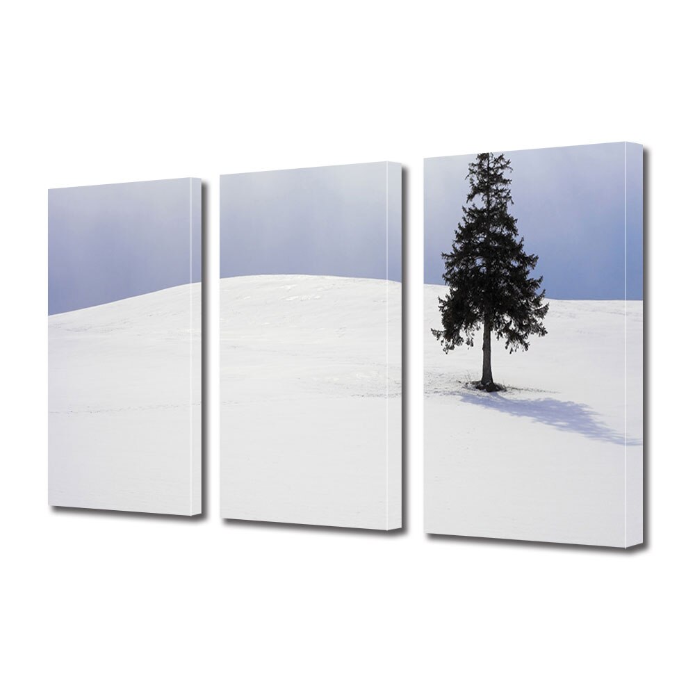 Set Tablouri Multicanvas 3 piese ArtDeco, Brad singuratic, Panza pe cadru de lemn, Decoratiuni Moderne pentru Casa, 3 x 70 x 100 cm