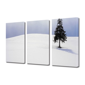Set Tablouri Multicanvas 3 piese ArtDeco, Brad singuratic, Panza pe cadru de lemn, Decoratiuni Moderne pentru Casa, 3 x 20 x 30 cm Set Tablouri Multicanvas 3 piese ArtDeco, Brad singuratic, Panza pe cadru de lemn, Decoratiuni Moderne pentru Casa, 3 x 20 x 30 cm