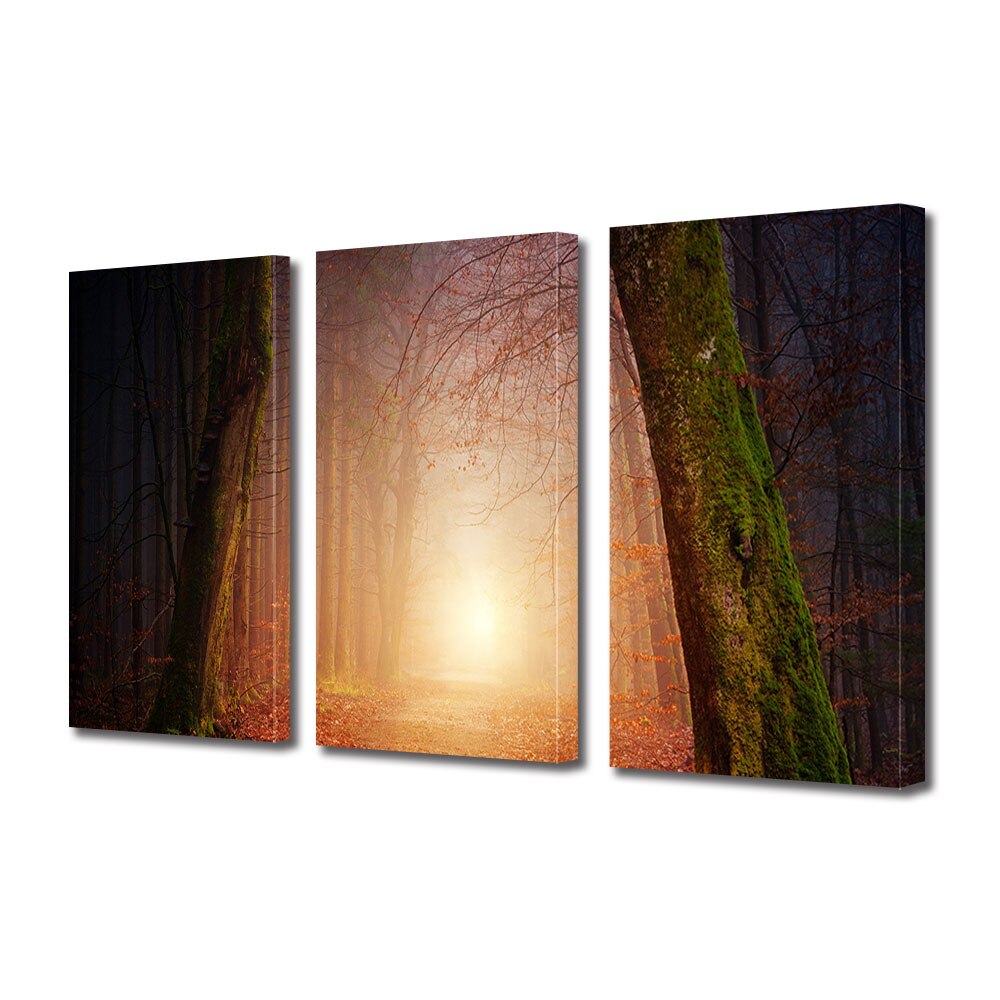 Set Tablouri Multicanvas 3 piese ArtDeco, Lumina calda a soarelui in padurea tomnatica, Panza pe cadru de lemn, Decoratiuni Moderne pentru Casa, 3 x 20 x 30 cm