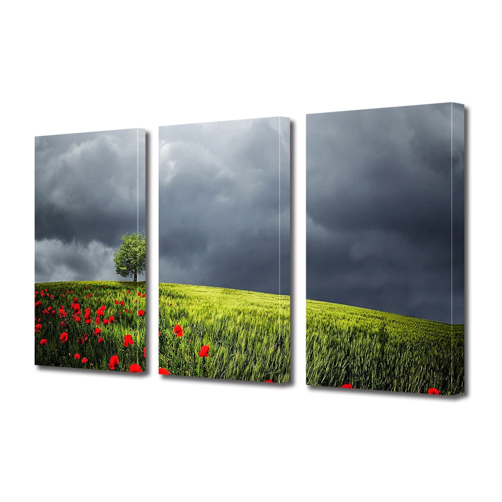 Set Tablouri Multicanvas 3 piese ArtDeco, Maci pe deal inainte de furtuna, Panza pe cadru de lemn, Decoratiuni Moderne pentru Casa, 3 x 70 x 100 cm