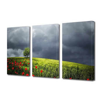 Set Tablouri Multicanvas 3 piese ArtDeco, Maci pe deal inainte de furtuna, Panza pe cadru de lemn, Decoratiuni Moderne pentru Casa, 3 x 70 x 100 cm Set Tablouri Multicanvas 3 piese ArtDeco, Maci pe deal inainte de furtuna, Panza pe cadru de lemn, Decoratiuni Moderne pentru Casa, 3 x 70 x 100 cm