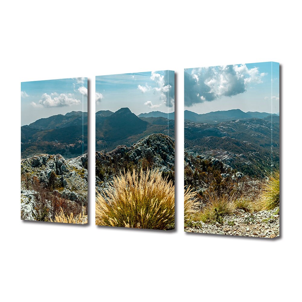 Set Tablouri Multicanvas 3 piese ArtDeco, Vegetatia de pe creste, Panza pe cadru de lemn, Decoratiuni Moderne pentru Casa, 3 x 20 x 30 cm