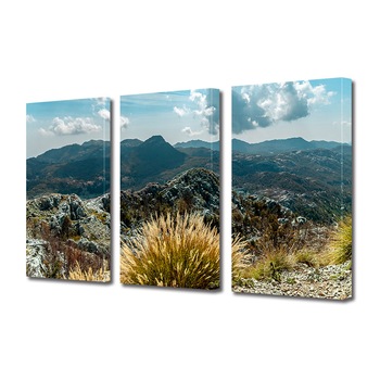 Set Tablouri Multicanvas 3 piese ArtDeco, Vegetatia de pe creste, Panza pe cadru de lemn, Decoratiuni Moderne pentru Casa, 3 x 20 x 30 cm Set Tablouri Multicanvas 3 piese ArtDeco, Vegetatia de pe creste, Panza pe cadru de lemn, Decoratiuni Moderne pentru Casa, 3 x 20 x 30 cm