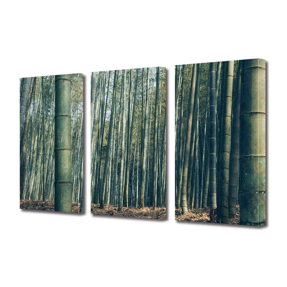 Set Tablouri Multicanvas 3 piese ArtDeco, Padure de bambus, Panza pe cadru de lemn, Decoratiuni Moderne pentru Casa, 3 x 30 x 45 cm