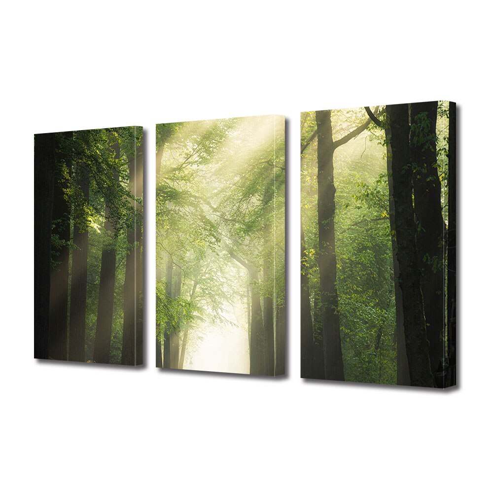 Set Tablouri Multicanvas 3 piese ArtDeco, Raze stralucind printre ramuri, Panza pe cadru de lemn, Decoratiuni Moderne pentru Casa, 3 x 70 x 100 cm