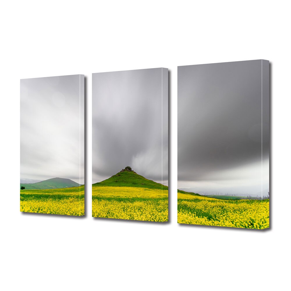 Set Tablouri Multicanvas 3 piese ArtDeco, Inainte de furtuna, Panza pe cadru de lemn, Decoratiuni Moderne pentru Casa, 3 x 70 x 100 cm