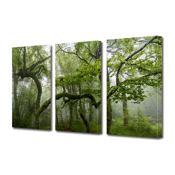 Set Tablouri Multicanvas 3 piese ArtDeco, Tainele padurii, Panza pe cadru de lemn, Decoratiuni Moderne pentru Casa, 3 x 70 x 100 cm Set Tablouri Multicanvas 3 piese ArtDeco, Tainele padurii, Panza pe cadru de lemn, Decoratiuni Moderne pentru Casa, 3 x 70 x 100 cm