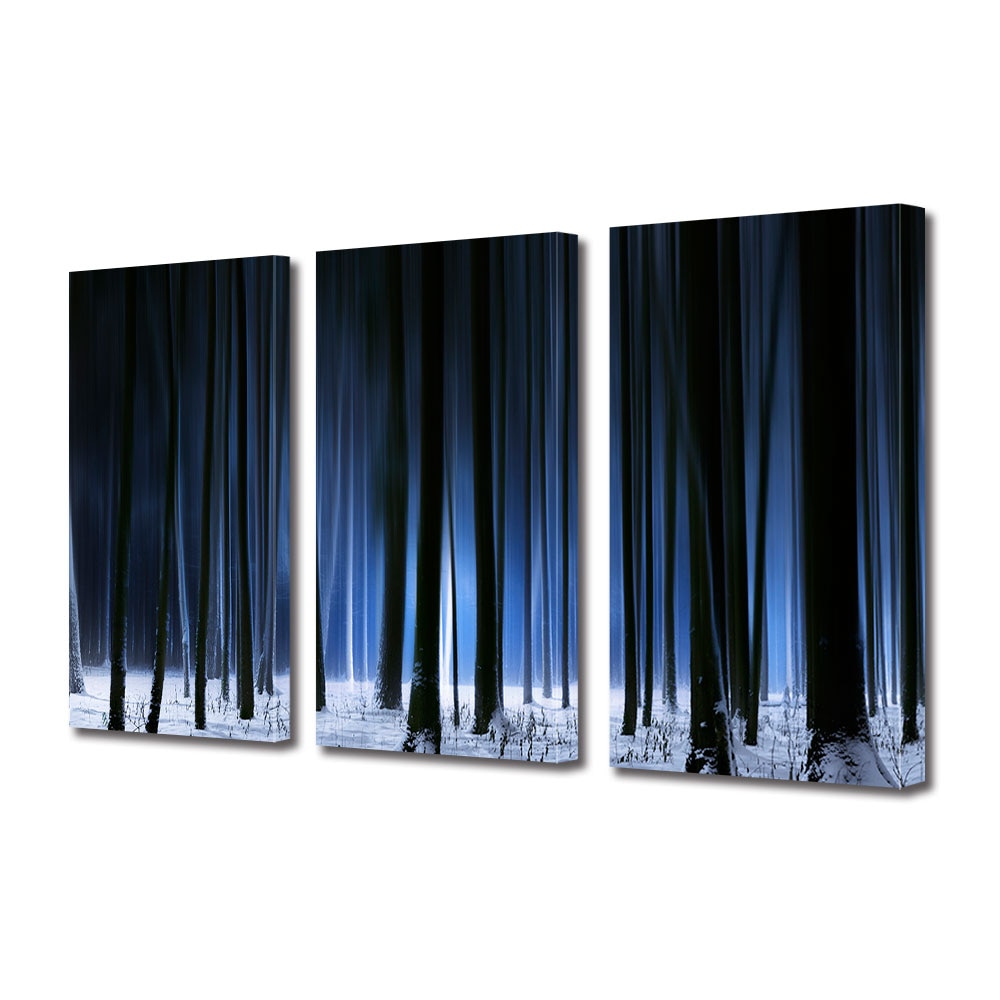 Set Tablouri Multicanvas 3 piese ArtDeco, Padure intunecata iarna, Panza pe cadru de lemn, Decoratiuni Moderne pentru Casa, 3 x 30 x 45 cm