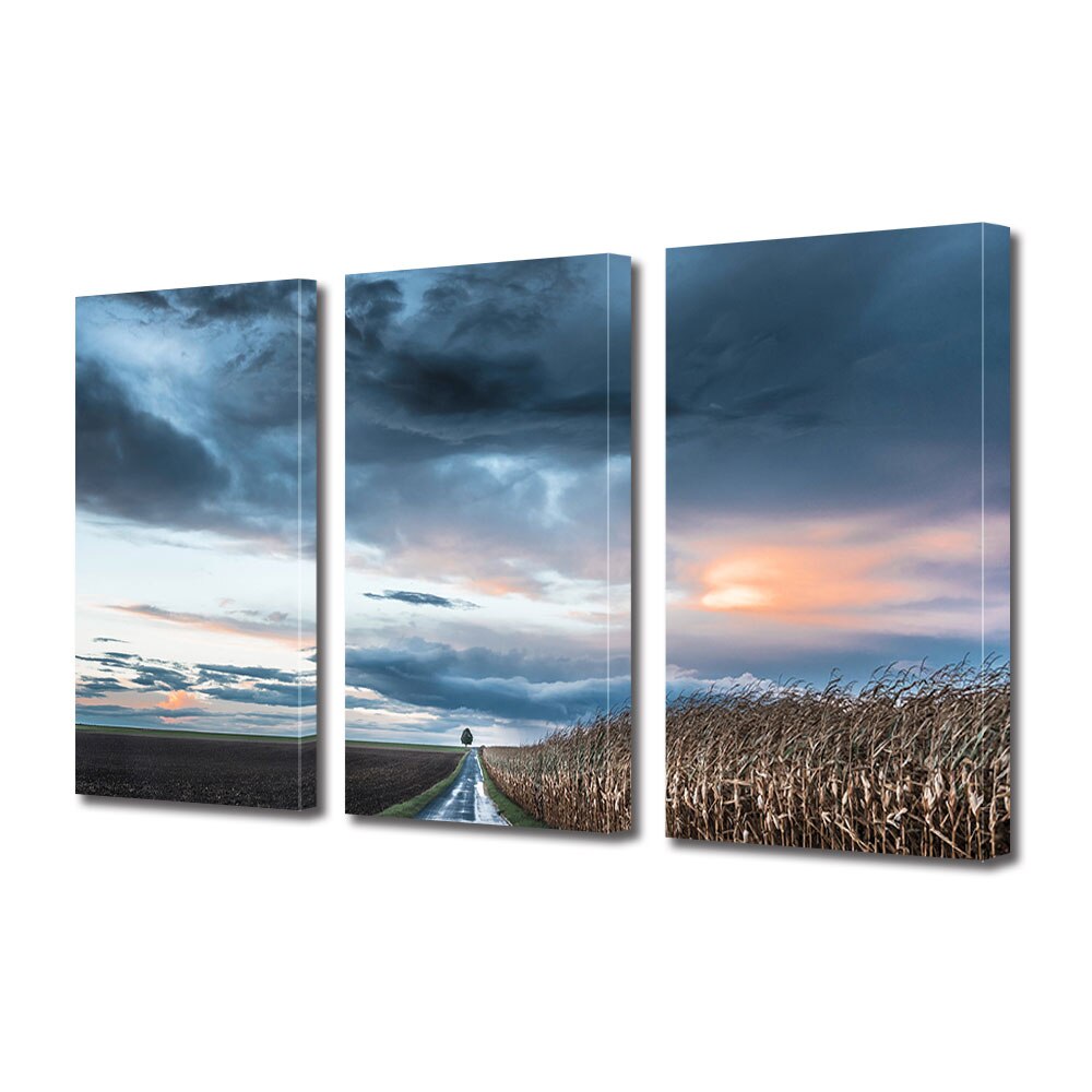 Set Tablouri Multicanvas 3 piese ArtDeco, Singur langa lanul de porumb, Panza pe cadru de lemn, Decoratiuni Moderne pentru Casa, 3 x 20 x 30 cm