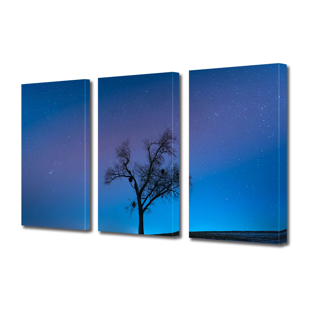 Set Tablouri Multicanvas 3 piese ArtDeco, Cer plin de stele si umbra de copac, Panza pe cadru de lemn, Decoratiuni Moderne pentru Casa, 3 x 70 x 100 cm