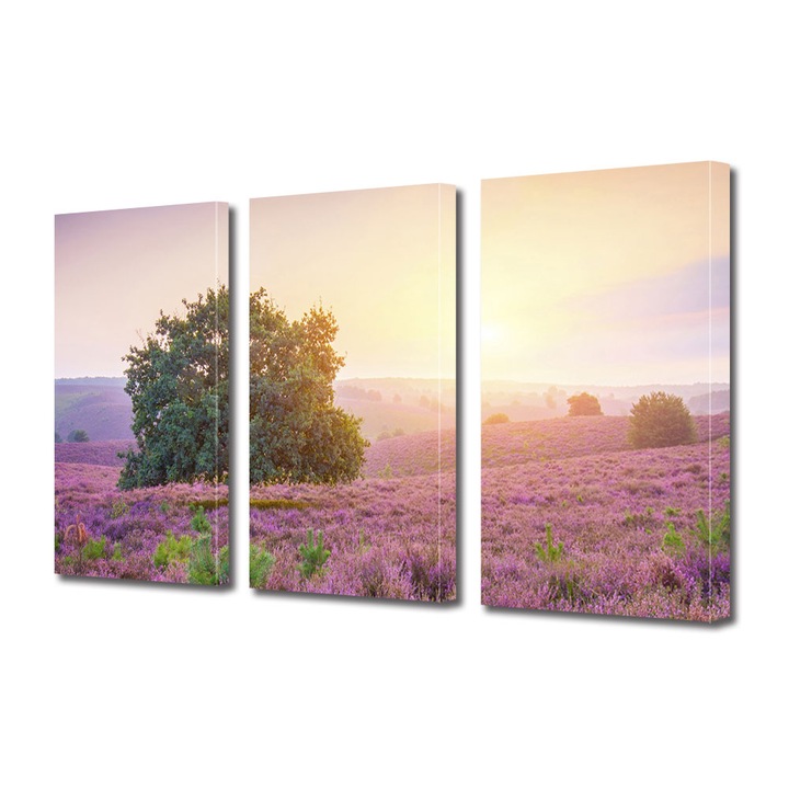Set Tablouri Multicanvas 3 piese ArtDeco, Lavanda la apus, Panza pe cadru de lemn, Decoratiuni Moderne pentru Casa, 3 x 30 x 45 cm