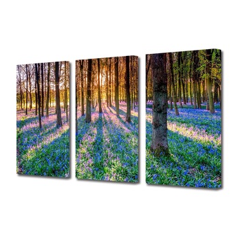 Set Tablouri Multicanvas 3 piese ArtDeco, Padure inflorita, Panza pe cadru de lemn, Decoratiuni Moderne pentru Casa, 3 x 50 x 70 cm Set Tablouri Multicanvas 3 piese ArtDeco, Padure inflorita, Panza pe cadru de lemn, Decoratiuni Moderne pentru Casa, 3 x 50 x 70 cm