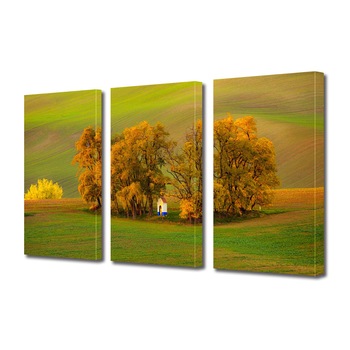 Set Tablouri Multicanvas 3 piese ArtDeco, Toamna pe deal, Panza pe cadru de lemn, Decoratiuni Moderne pentru Casa, 3 x 50 x 70 cm Set Tablouri Multicanvas 3 piese ArtDeco, Toamna pe deal, Panza pe cadru de lemn, Decoratiuni Moderne pentru Casa, 3 x 50 x 70 cm