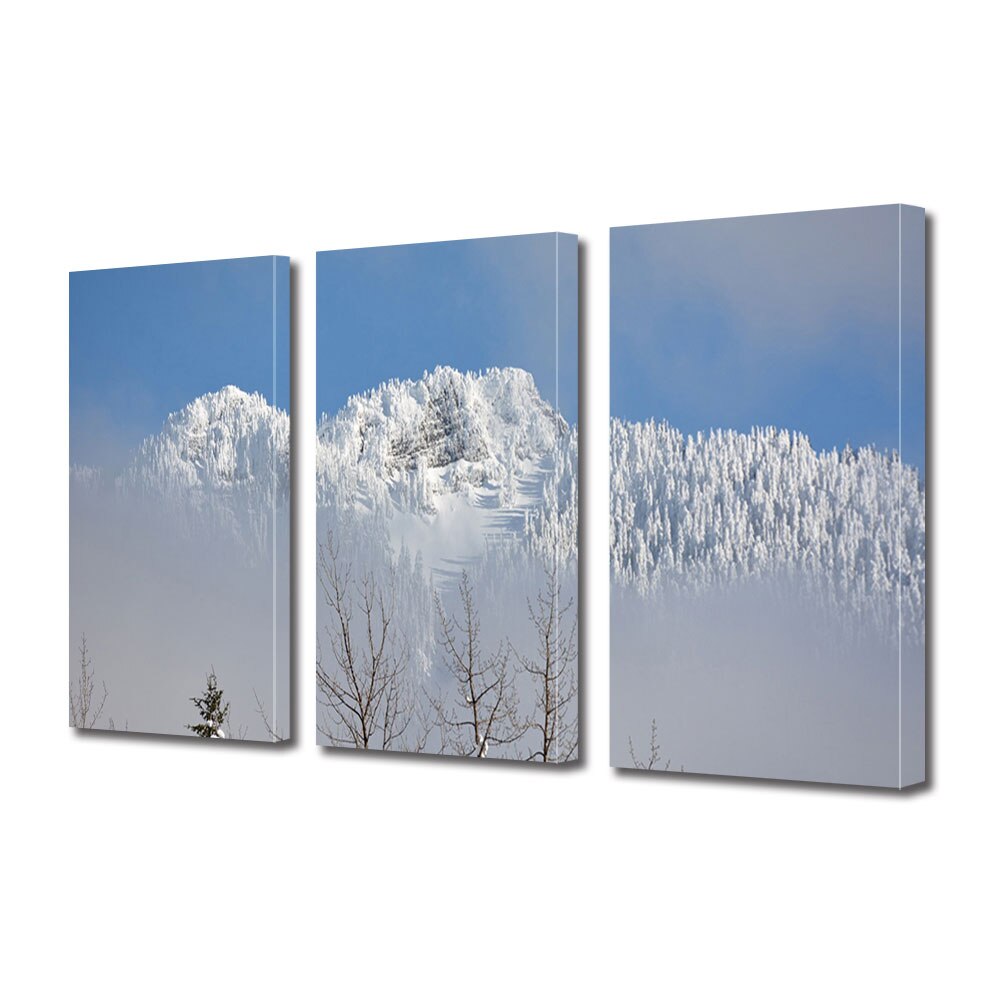 Set Tablouri Multicanvas 3 piese ArtDeco, Ceata persistenta, Panza pe cadru de lemn, Decoratiuni Moderne pentru Casa, 3 x 70 x 100 cm