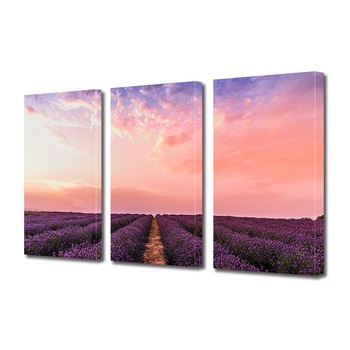 Set Tablouri Multicanvas 3 piese ArtDeco, Lavanda sub cerul primavaratic, Panza pe cadru de lemn, Decoratiuni Moderne pentru Casa, 3 x 20 x 30 cm Set Tablouri Multicanvas 3 piese ArtDeco, Lavanda sub cerul primavaratic, Panza pe cadru de lemn, Decoratiuni Moderne pentru Casa, 3 x 20 x 30 cm