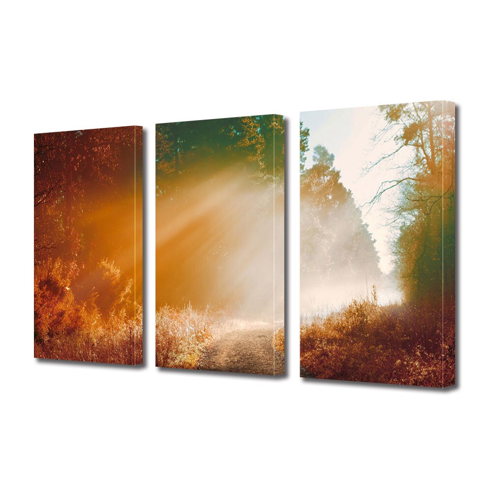 Set Tablouri Multicanvas ArtDeco, Poteca de toamna in razele soarelui, Panza pe cadru de lemn, Decoratiuni Moderne pentru Casa, 3 piese, 3 x 20 x 30 cm