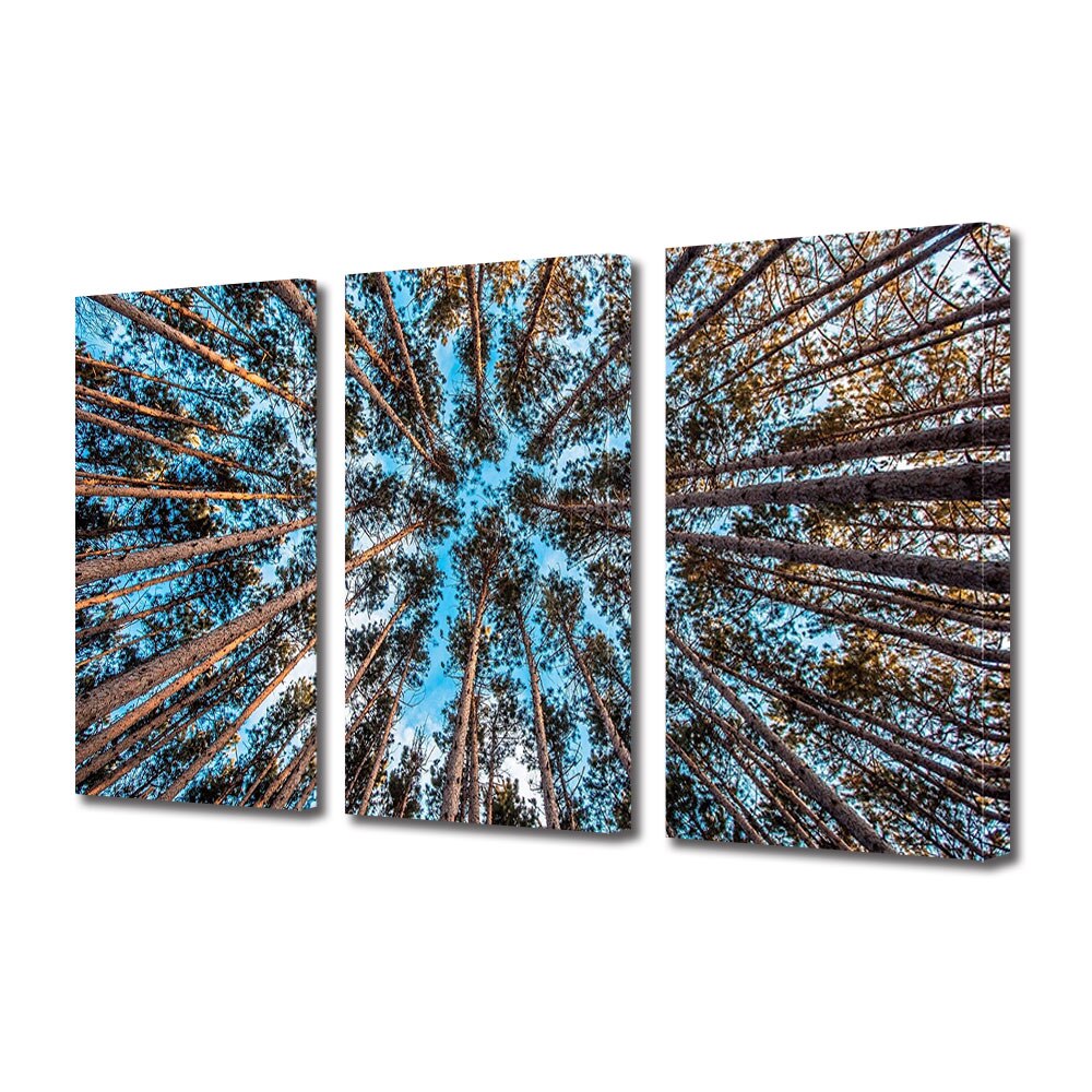 Set Tablouri Multicanvas 3 piese ArtDeco, Spre cer, Panza pe cadru de lemn, Decoratiuni Moderne pentru Casa, 3 x 70 x 100 cm