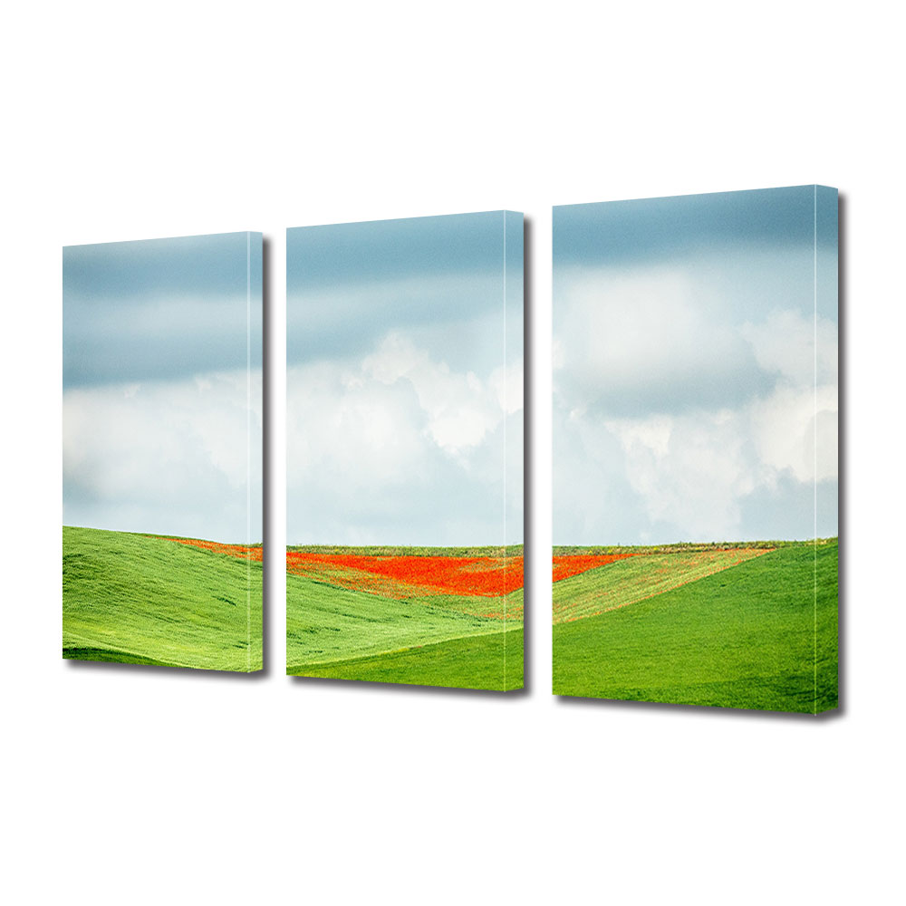 Set Tablouri Multicanvas 3 piese ArtDeco, Flori rosii pe campia verde, Panza pe cadru de lemn, Decoratiuni Moderne pentru Casa, 3 x 70 x 100 cm