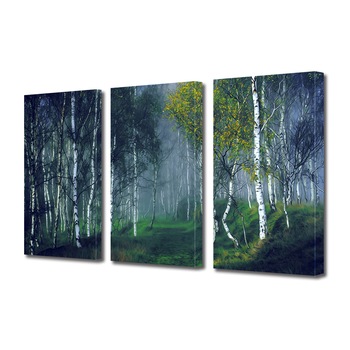 Set Tablouri Multicanvas 3 piese ArtDeco, Padure ilustrata, Panza pe cadru de lemn, Decoratiuni Moderne pentru Casa, 3 x 70 x 100 cm Set Tablouri Multicanvas 3 piese ArtDeco, Padure ilustrata, Panza pe cadru de lemn, Decoratiuni Moderne pentru Casa, 3 x 70 x 100 cm
