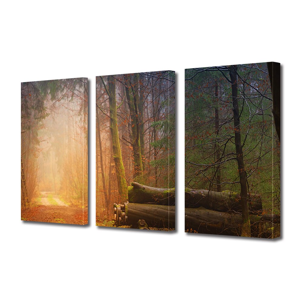 Set Tablouri Multicanvas 3 piese ArtDeco, Busteni pe drumul iluminat, Panza pe cadru de lemn, Decoratiuni Moderne pentru Casa, 3 x 40 x 60 cm