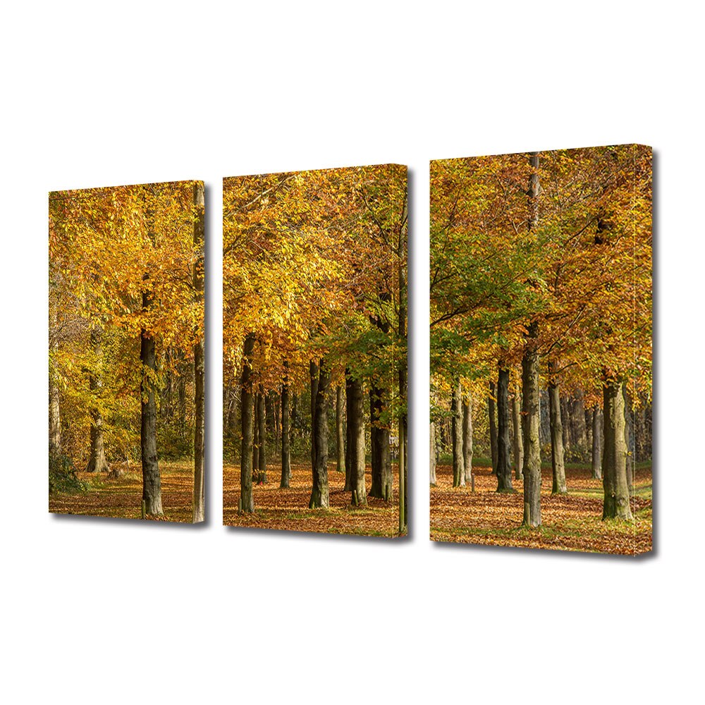Set Tablouri Multicanvas 3 piese ArtDeco, Auriu de toamna, Panza pe cadru de lemn, Decoratiuni Moderne pentru Casa, 3 x 30 x 45 cm