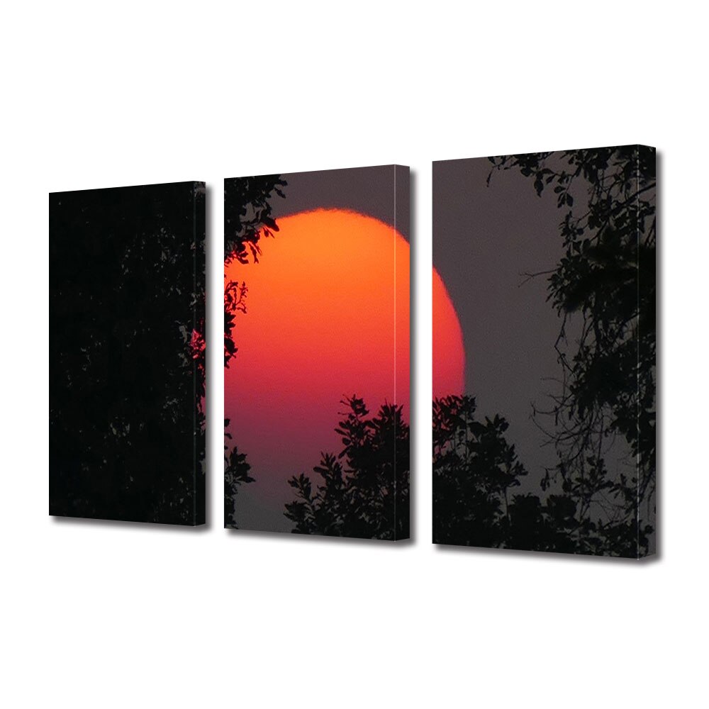 Set Tablouri Multicanvas 3 piese ArtDeco, Pata de culoare in intuneric, Panza pe cadru de lemn, Decoratiuni Moderne pentru Casa, 3 x 70 x 100 cm