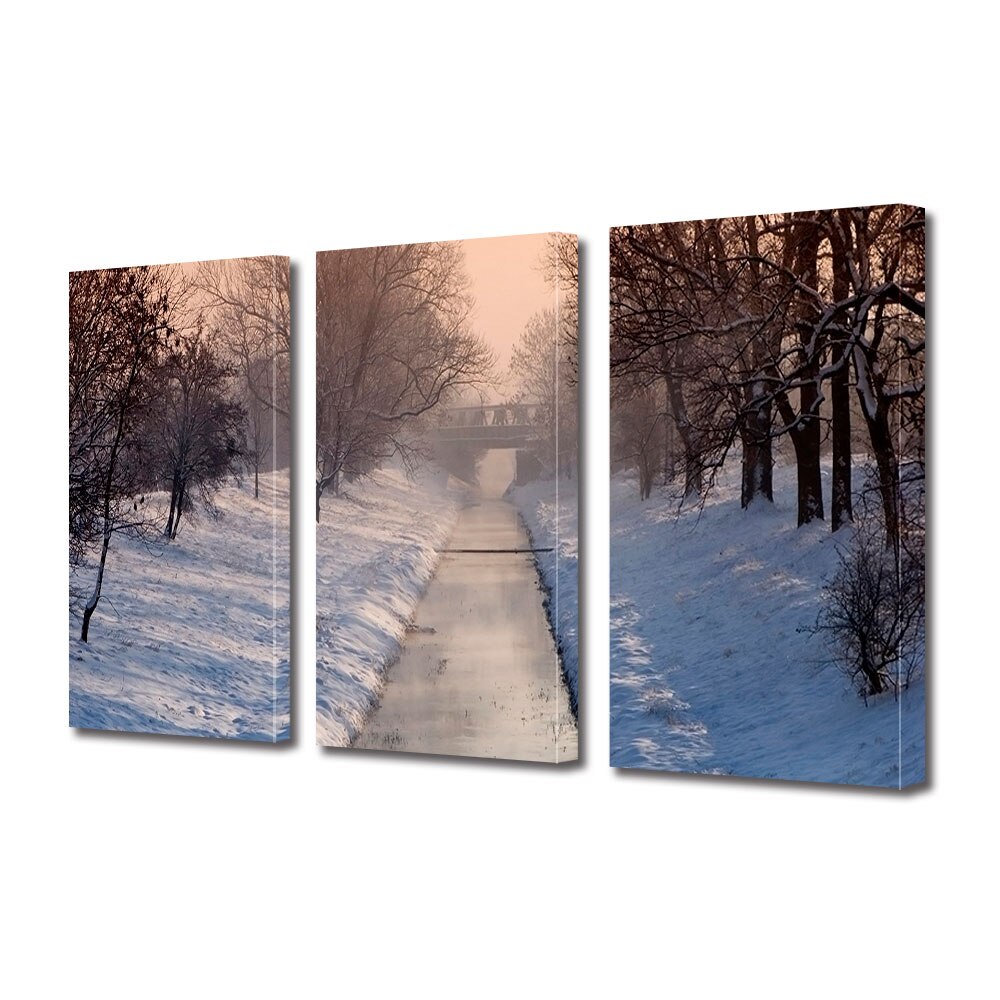 Set Tablouri Multicanvas 3 piese ArtDeco, Parau inghetat iarna, Panza pe cadru de lemn, Decoratiuni Moderne pentru Casa, 3 x 70 x 100 cm