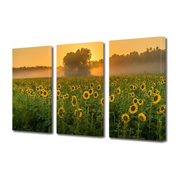 Set Tablouri Multicanvas ArtDeco, Camp de floarea-soarelui la apus, Panza pe cadru de lemn, Decoratiuni Moderne pentru Casa, 3 piese, 3 x 20 x 30 cm Set Tablouri Multicanvas ArtDeco, Camp de floarea-soarelui la apus, Panza pe cadru de lemn, Decoratiuni Moderne pentru Casa, 3 piese, 3 x 20 x 30 cm
