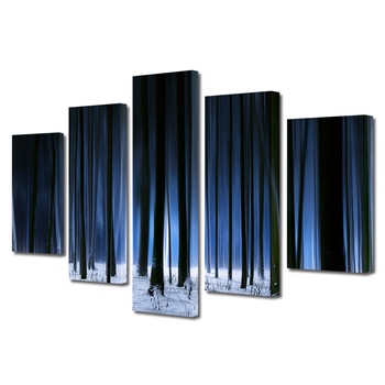 Set Tablouri Multicanvas, ArtDeco, Padure intunecata iarna, Panza pe cadru de lemn, Decoratiuni Moderne pentru Casa, 5 piese, 110 x 200 cm Set Tablouri Multicanvas, ArtDeco, Padure intunecata iarna, Panza pe cadru de lemn, Decoratiuni Moderne pentru Casa, 5 piese, 110 x 200 cm