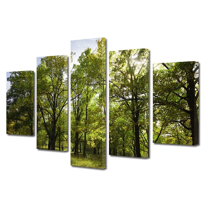 Set Tablouri Multicanvas, ArtDeco, Verde natural, Panza pe cadru de lemn, Decoratiuni Moderne pentru Casa, 5 piese, 70 x 125 cm