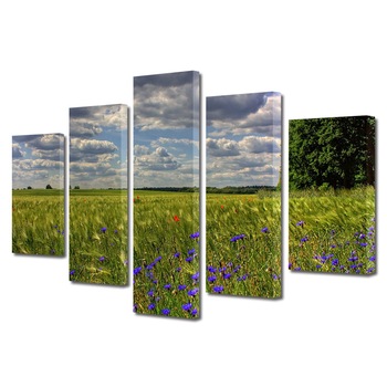 Set Tablouri Multicanvas, ArtDeco, Campie cu flori in bataia vantului, Panza pe cadru de lemn, Decoratiuni Moderne pentru Casa, 5 piese, 100 x 175 cm Set Tablouri Multicanvas, ArtDeco, Campie cu flori in bataia vantului, Panza pe cadru de lemn, Decoratiuni Moderne pentru Casa, 5 piese, 100 x 175 cm
