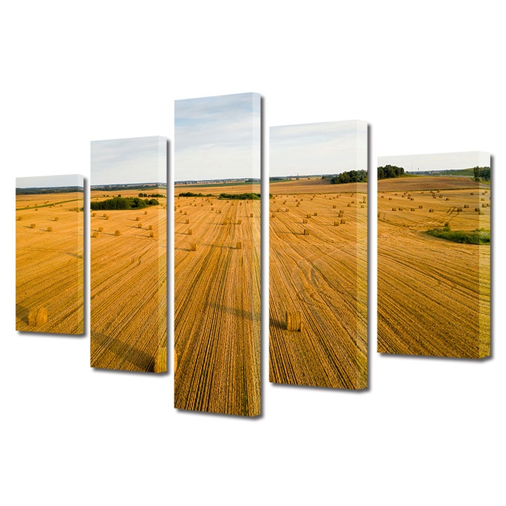Set Tablouri Multicanvas, ArtDeco, Camp arat, Panza pe cadru de lemn, Decoratiuni Moderne pentru Casa, 5 piese, 60 x 100 cm