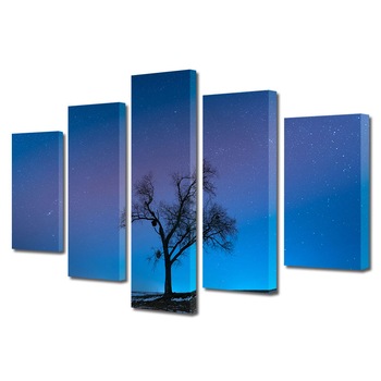Set Tablouri Multicanvas, ArtDeco, Cer plin de stele si umbra de copac, Panza pe cadru de lemn, Decoratiuni Moderne pentru Casa, 5 piese, 70 x 125 cm Set Tablouri Multicanvas, ArtDeco, Cer plin de stele si umbra de copac, Panza pe cadru de lemn, Decoratiuni Moderne pentru Casa, 5 piese, 70 x 125 cm