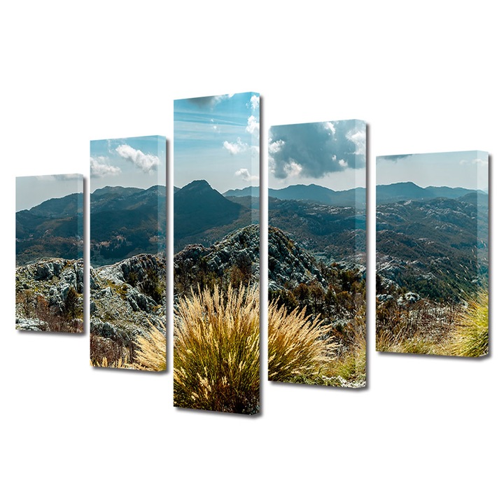 Set Tablouri Multicanvas, ArtDeco, Vegetatia de pe creste, Panza pe cadru de lemn, Decoratiuni Moderne pentru Casa, 5 piese, 70 x 125 cm