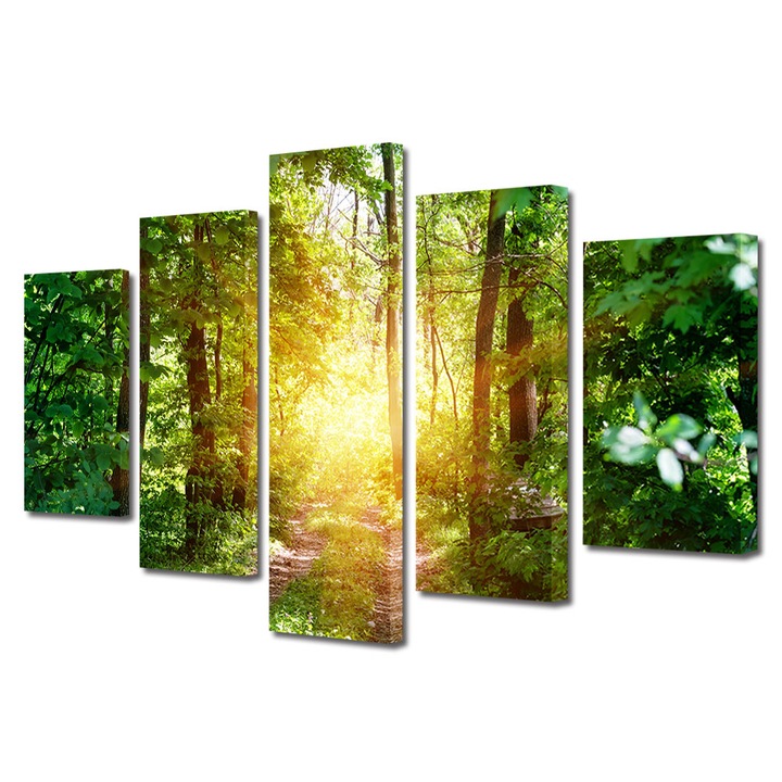 Set Tablouri Multicanvas, ArtDeco, Lumina calda in padurea verde, Panza pe cadru de lemn, Decoratiuni Moderne pentru Casa, 5 piese, 60 x 100 cm