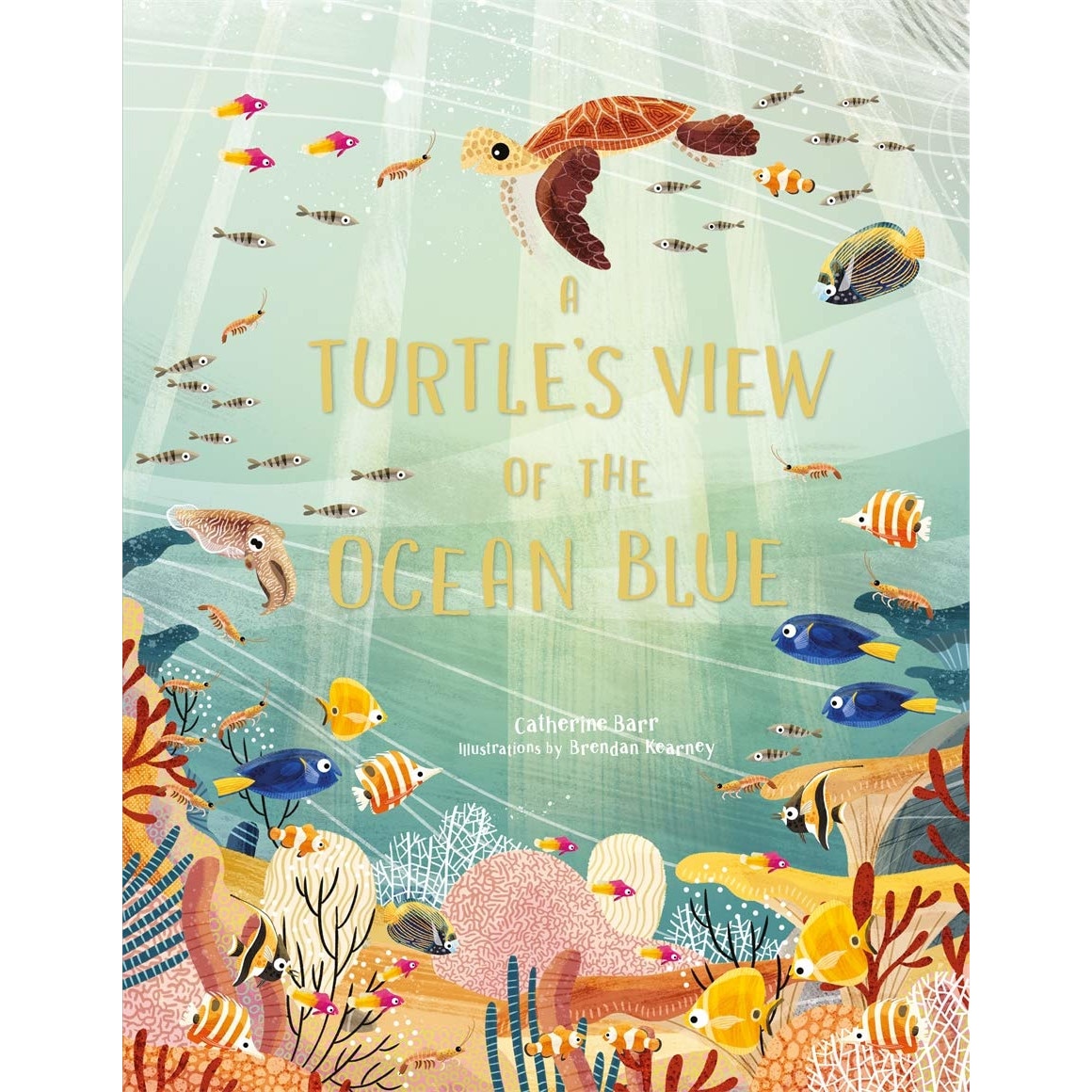 A Turtle's View of the Ocean Blue - Catherine Barr