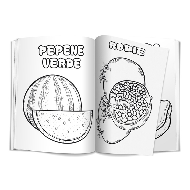 Fruits kifestőkönyv, A4-es 24 oldal