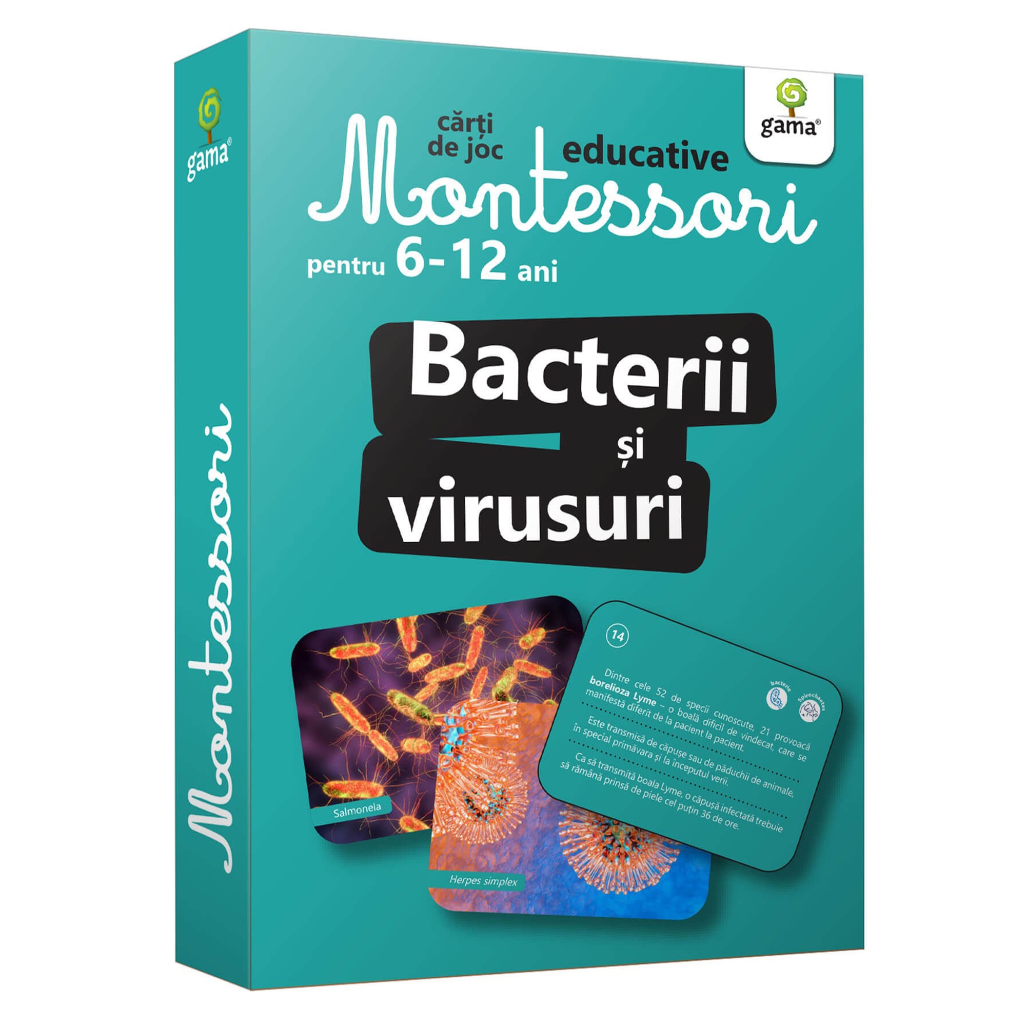 Bacterii si virusuri. Montessori 6-12 ani