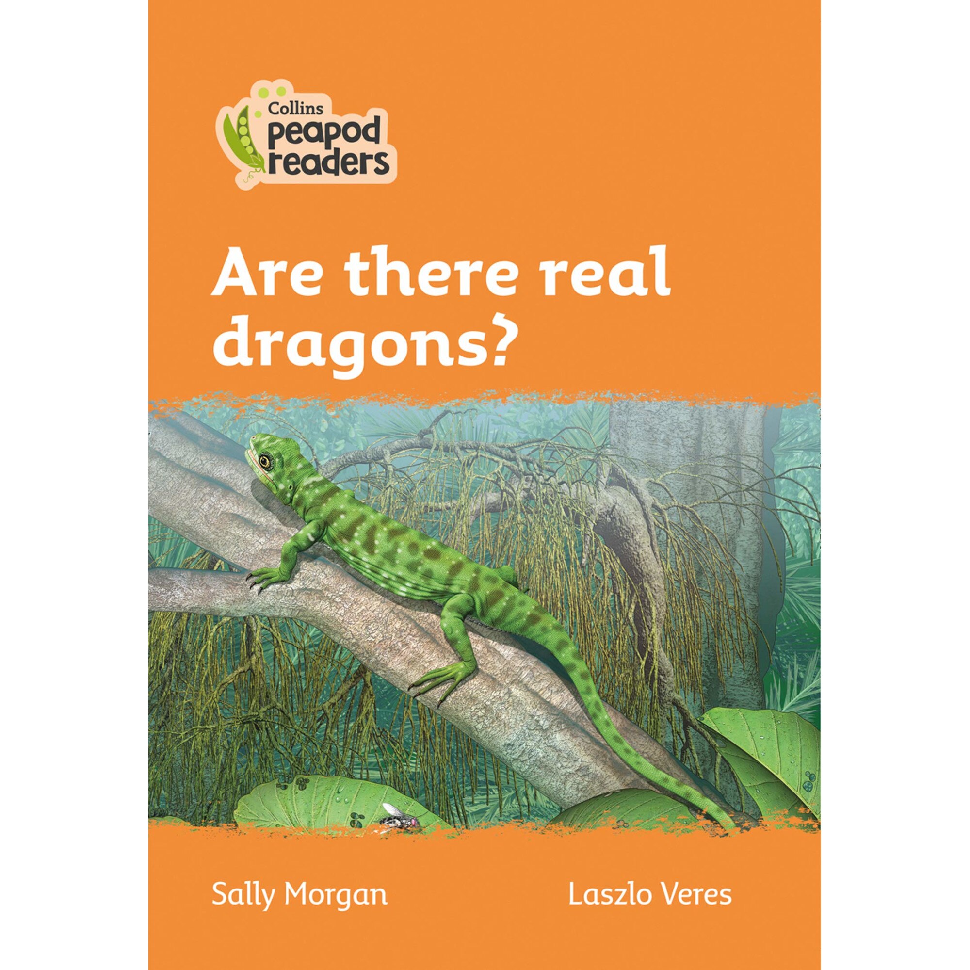 Are There Real Dragons? - Sally Morgan