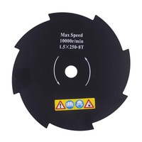 cutit aparat taiat iarba stern bggt8 250 mm imagen 3_0_
0