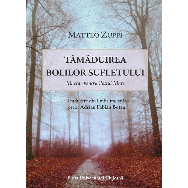 Tamaduirea bolilor sufletului - Matteo Zuppi