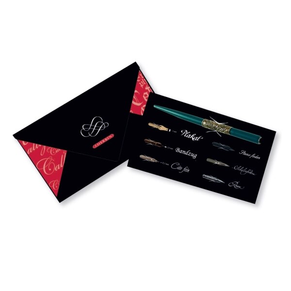 Set de caligrafie ce contine 6 penite si un toc pentru penite