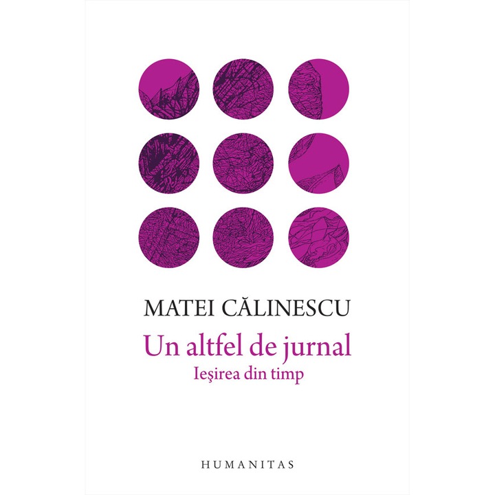 Un altfel de jurnal - Matei Calinescu