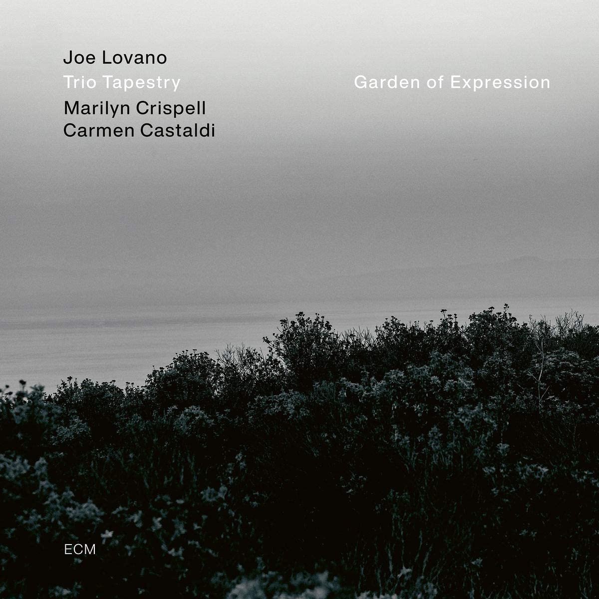 Joe LovanoTrio Tapestry - Garden of Expression - CD