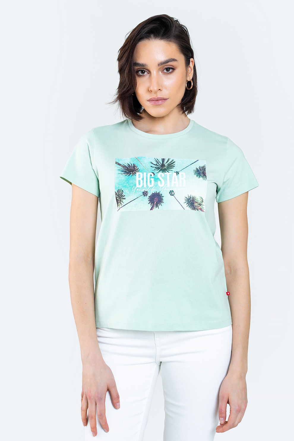 Big Star, Tricou din bumbac cu imprimeu logo si tropical, Verde menta